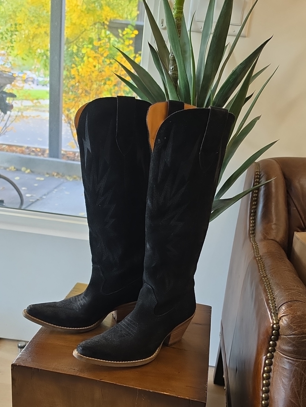 Dingo Thunder Road Black Western Heeled Boots